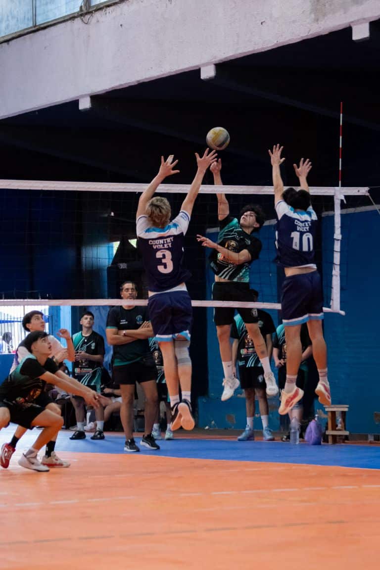 Les postes au volley : à quoi sert vraiment chaque rôle